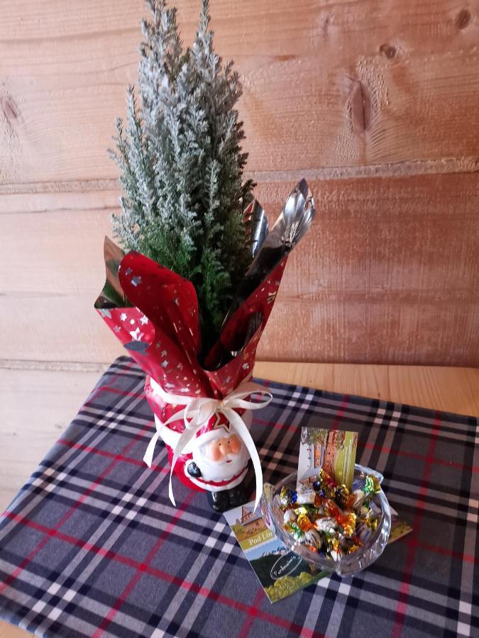 Pokoje Goscinne Pod Limbami Ciche Małe Exterior foto